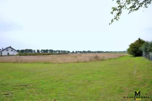 Działka 3 139,00 m², Gościno, Sprzedaż
