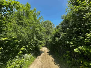 Działka 6 603,00 m², Gościno, Sprzedaż