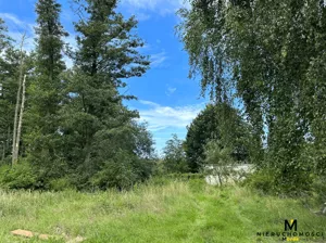 Działka 2 916,00 m², Trzebiatów, Sprzedaż