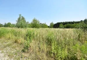 Działka 700,00 m², Kotórz Mały, Sprzedaż