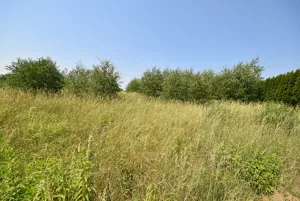 Działka 814,00 m², Kotórz Mały, Sprzedaż
