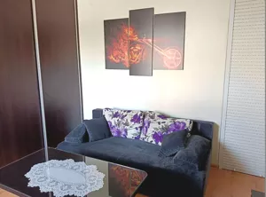 Mieszkanie jednopokojowe 25,42 m², Opole, Śródmieście, Plebiscytowa, Sprzedaż