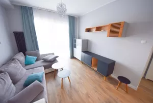 Mieszkanie dwupokojowe 42,00 m², Opole, Wynajem