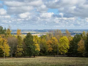Działka 18 046,00 m², Sobótka, Armii Krajowej, Sprzedaż