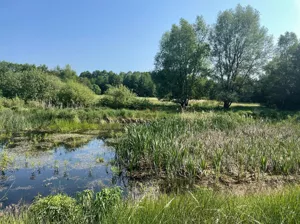 Działka 47 925,00 m², Jabłonka Stara, Sprzedaż