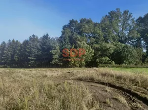 Działka 998,00 m², Pełczyce, Kwiatowa, Sprzedaż
