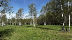 Działka 3 753,00 m², Nowa Wieś, Sprzedaż
