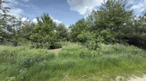 Działka 1 700,00 m², Piszkawa, Sprzedaż