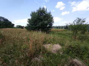 Działka 906,00 m², Zawonia, Wiosenna, Sprzedaż