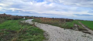 Działka 1 000,00 m², Wojnowice, Sprzedaż