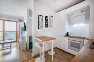 Mieszkanie jednopokojowe 30,00 m², Wrocław, Stare Miasto, Księcia Witolda, Wynajem