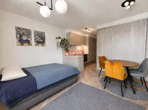 Mieszkanie jednopokojowe 29,46 m², Wrocław, Stare Miasto, Wynajem