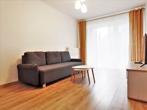 Mieszkanie dwupokojowe 49,00 m², Wrocław, Fabryczna, Małopanewska, Wynajem