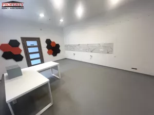 Lokal użytkowy 44,69 m², Łódź, Śródmieście, Kościuszki, Sprzedaż