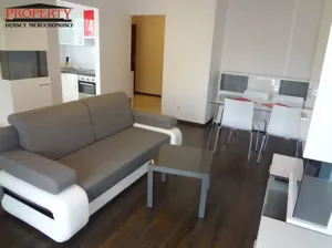 Mieszkanie jednopokojowe 40,96 m², Łódź, Bałuty, Liściasta, Wynajem