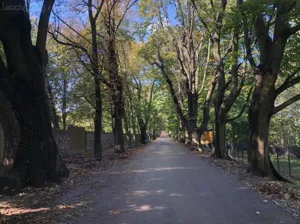 Działka 10 400,00 m², Kraków, Zwierzyniec, al. Waszyngtona, Jerzego, Sprzedaż