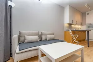 Mieszkanie dwupokojowe 36,17 m², Kraków, Stare Miasto, Rakowicka, Wynajem