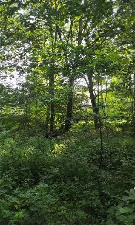 Działka 898,00 m², Bielsko-Biała, Sprzedaż