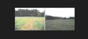 Działka 4 999,00 m², Dobiegniew, Sprzedaż