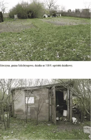 Działka 24 207,00 m², Górczyna, Sprzedaż