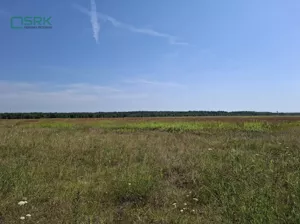 Działka 470 610,00 m², Gierałtowice, Kłodnicka, Sprzedaż
