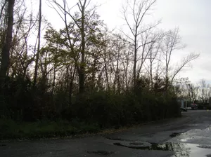 Działka 2 505,00 m², Zabrze, Koksownicza, Sprzedaż