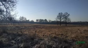 Działka 7 957,00 m², Rudziczka, Łąkowa, Sprzedaż