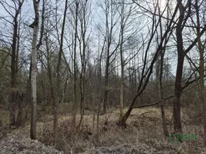 Działka 2 709,00 m², Kaniów, Stefana Kóski, Sprzedaż
