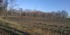 Działka 35 231,00 m², Rudziczka, Szkolna, Sprzedaż
