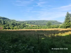 Działka 3 911,00 m², Wambierzyce, Sprzedaż