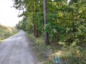 Działka 3 000,00 m², Kosów, Sprzedaż