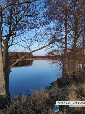 Działka 1 045,00 m², Młynarze, Młynarska, Sprzedaż