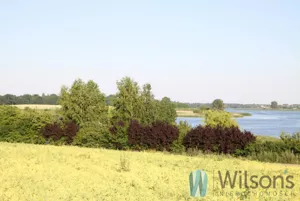 Działka 43 000,00 m², Nowa Chełmża, Sprzedaż