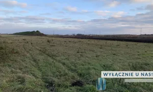 Działka 10 021,00 m², Nowa Wola, Sprzedaż