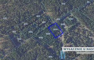 Działka 3 010,00 m², Opaleniec, Sprzedaż