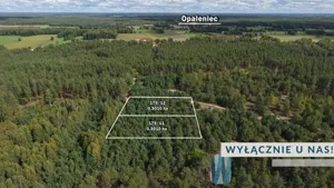 Działka 3 007,00 m², Opaleniec, Sprzedaż