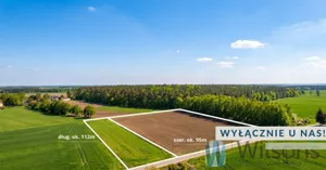 Działka 11 021,00 m², Śniadowo, Sprzedaż