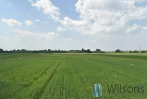 Działka 3 985,00 m², Warszawa, Wilanów, Strumień, Sprzedaż