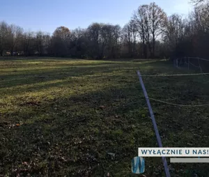 Działka 5 433,00 m², Tomaszówka, Sprzedaż