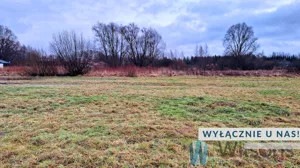 Działka 3 001,00 m², Topórek, Sprzedaż