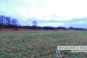 Działka 3 324,00 m², Topórek, Sprzedaż