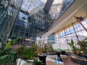 Biuro 458,19 m², Warszawa, Śródmieście, Bonifraterska, Wynajem