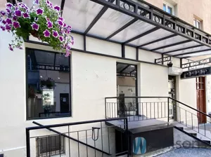 Lokal użytkowy 24,50 m², Warszawa, Śródmieście, Chmielna, Wynajem