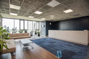 Biuro 180,00 m², Warszawa, Domaniewska, Wynajem