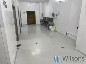 Obiekt 2 000,00 m², Nowe Lipiny, Szosa Jadowska, Wynajem