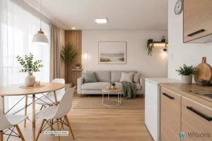 Mieszkanie jednopokojowe 23,50 m², Stegna, Lipowa, Sprzedaż