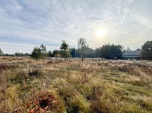Działka 1 184,00 m², Ciasne, Sprzedaż