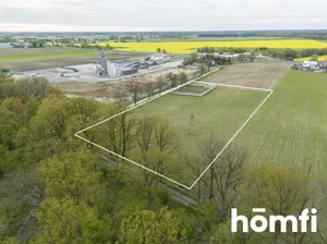 Działka 10 100,00 m², Brzeźno, Sprzedaż