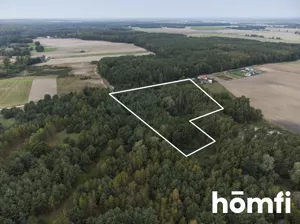 Działka 21 677,00 m², Budziszewice, Sprzedaż