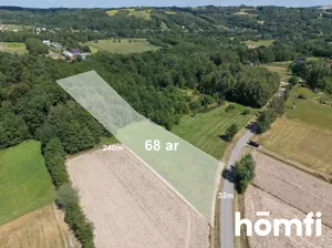 Działka 6 800,00 m², Chmielnik, Sprzedaż